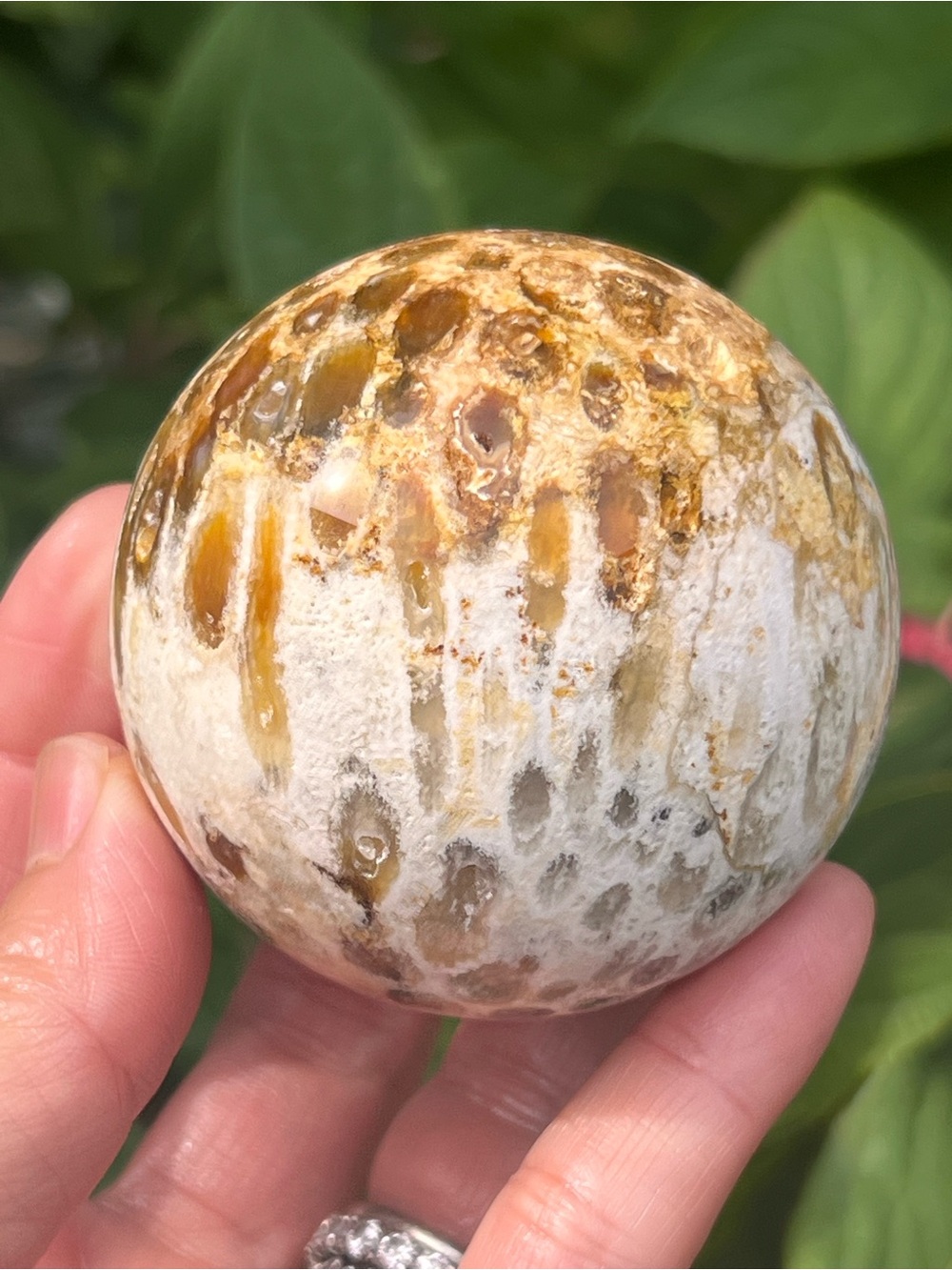 Coral (3) Jade sphere | crystal